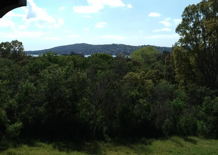 Les Parcs De Golfe De St Tropez , Avec Grimaud
